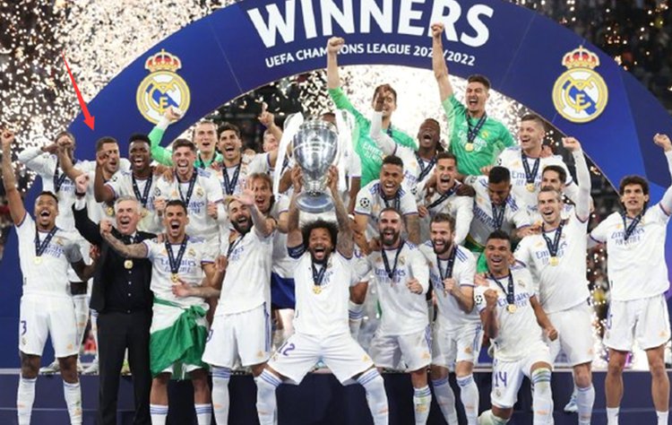 全磁悬浮搅拌器